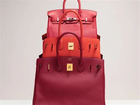 hermes birkin harper's bazaar